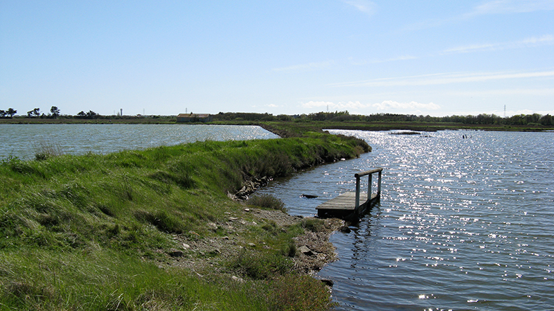 Noirmoutier Location - Marais